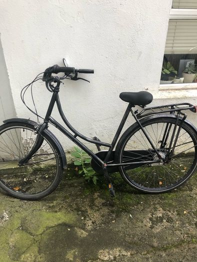 Dutch Bike ( Big Apple Tires)