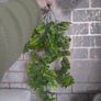 faux hanging foliage Image 2
