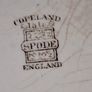 Antique Copeland Spode Coffee or Tea pot in the Florence Pattern, era 1891 to 1910 Postage Available or Collection Image 7