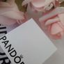 New genuine pandora USA charm Image 9
