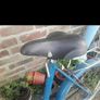 Triumph Bicycle Image 2