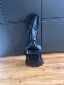 Encore Acoustic Guitar