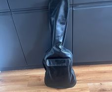 Encore Acoustic Guitar