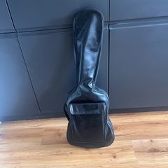 Encore Acoustic Guitar