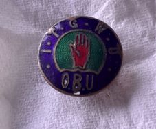 old Irish badge