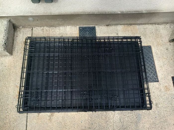 large dog travel crate