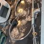IKEA kitchen tap with hose ALMAREN Image 3