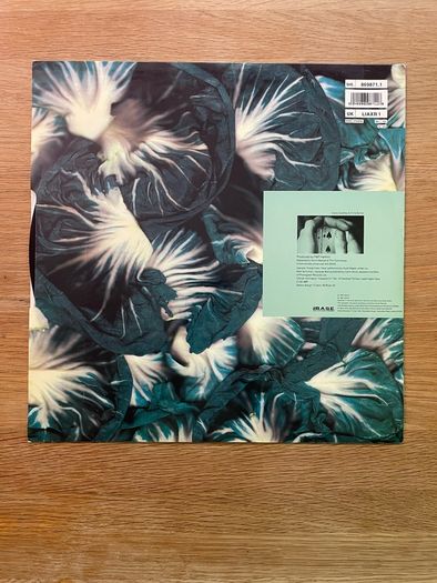 Orbital - Radiccio 2 - 12" Vinyl EP - 1992 Internal Records