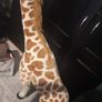 huge stuffed giraffe Image 3