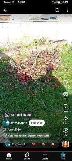 rubbish removal