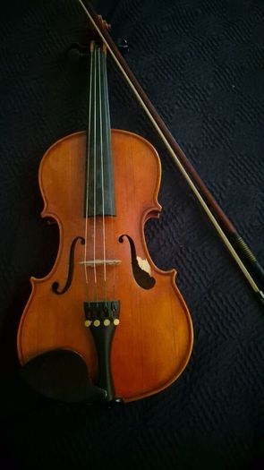 Violin