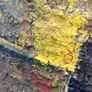 Large Impasto Still Life Image 6