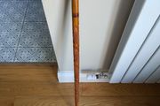 Walking Stick