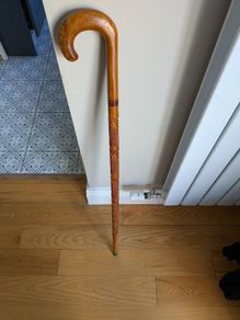 Walking Stick