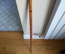 Walking Stick