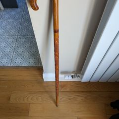 Walking Stick