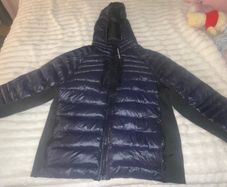 canada goose