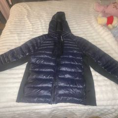 canada goose