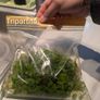 Frogbit (big portion), Hydrocotyle tripartita, Ramshorn snail Image 6