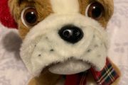 Bulldog Teddy