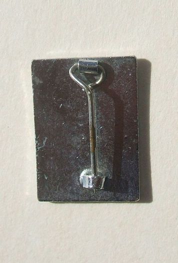 Royal College of Nursing (RCN) - membership badge (1980's)