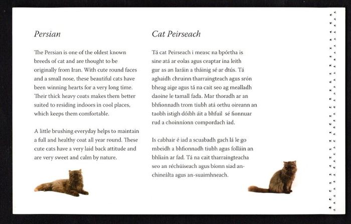 2014 Ireland Cats Commemorative Stamp Booklet Mint Never Hinged (MNH). Hibernian HB202. Photos of contents shown.