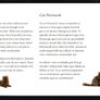 2014 Ireland Cats Commemorative Stamp Booklet Mint Never Hinged (MNH). Hibernian HB202. Photos of contents shown. Image 8