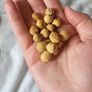 Small animal treats Image 6