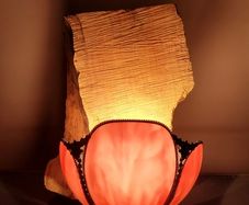 antique shade and wood lamp