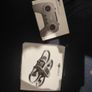 dji avata 2 fly more combo. quadcopter drone Image 10