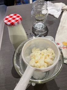 milk kefir grains