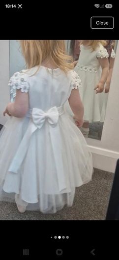 flower girl dress