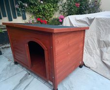 Dog Kennel