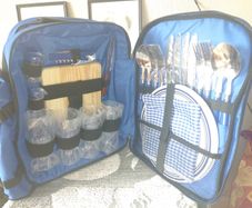 New Picnic Backpack