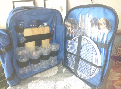 New Picnic Backpack