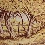 'Peter Knuttel (1945-2023)' limited edition original etching Image 5