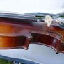 Antique Violin Antonius Stradivarius  Fraction Anno 17 Image 7