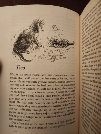 My Five Tigers. The Cats In My Life. By Lloyd Alexander. First Edition 1956.  Hardback With Dustjacket In Good Condition. 37.