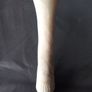 Two Stone Carved  Fish & a Stone Carved Bud Vase Image 7
