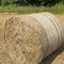 Round bales of Hay Image 4