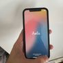 iPhone Image 6