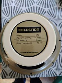Guitar Amp Speaker
