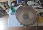 Maxwin snare drum