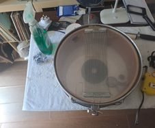 Remo snare drum