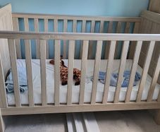 cot bed mamas and papas
