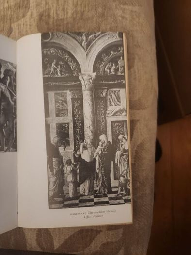 The Italian Painters Of The Renaissance.  Bernhard Berenson. The Fontana Library First Edition Paperback In Good Condition. See Photos For Same.