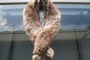 Stunning Long Faux Fur Scarf with Tassels