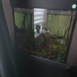 200l fish tank