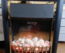 Electric fire
