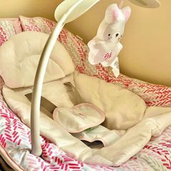 Baby bouncer